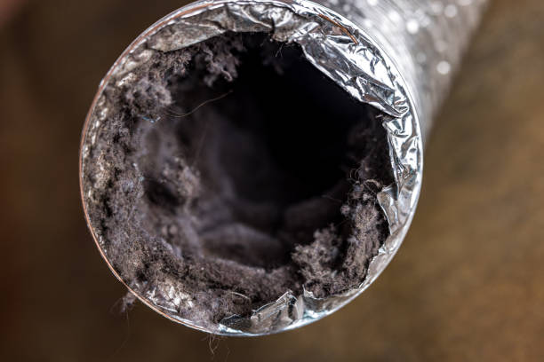 Best HVAC Duct Inspection Services  in Jupiter Farms, FL