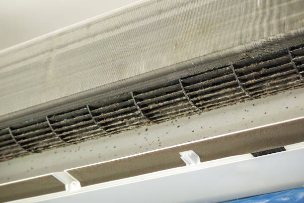 Best Ventilation Cleaning Services  in Jupiter Farms, FL